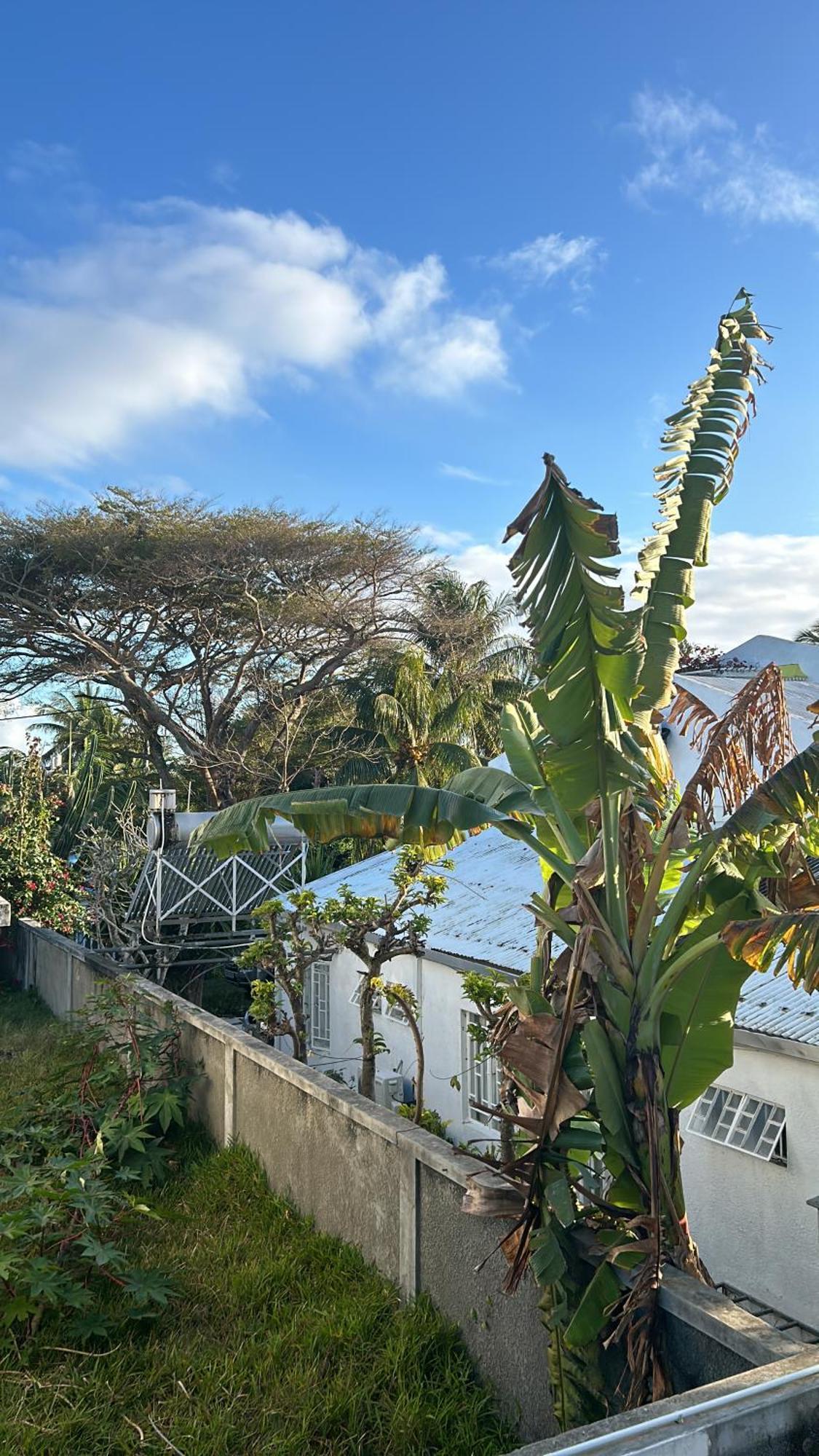 Coastal View Apartments グランベ エクステリア 写真
